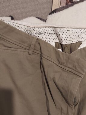 Talbots Olive Green Women's Shorts